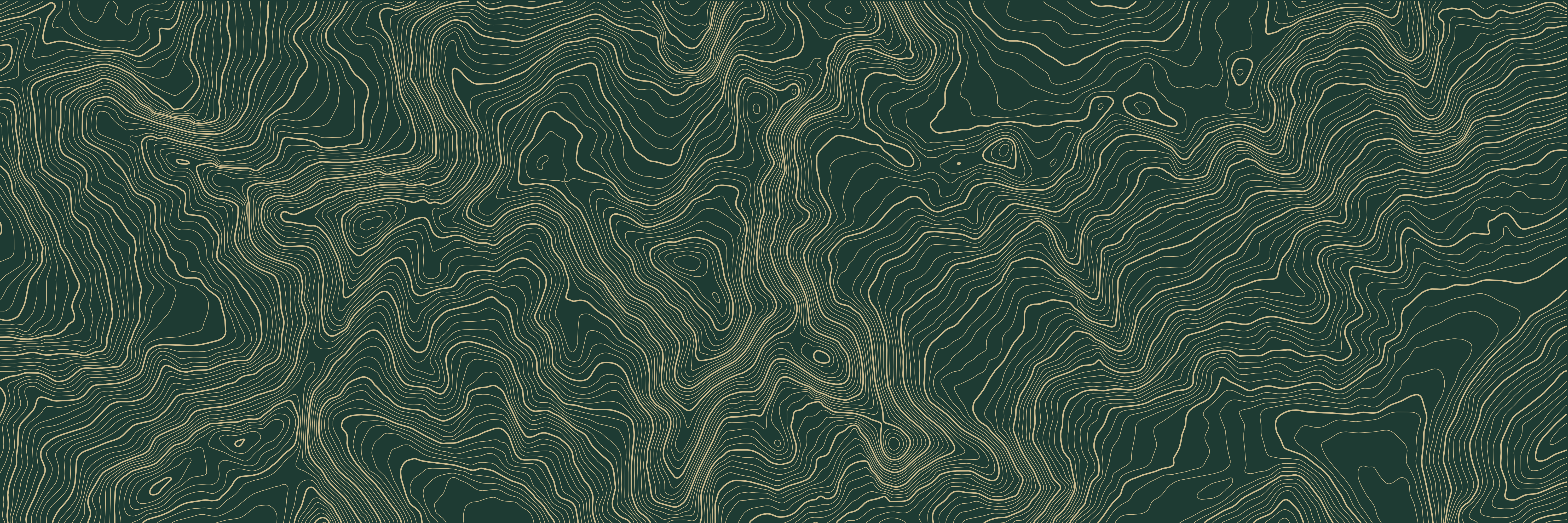 Topo Mont-Blanc Vert bouteille — 9 × 3 m