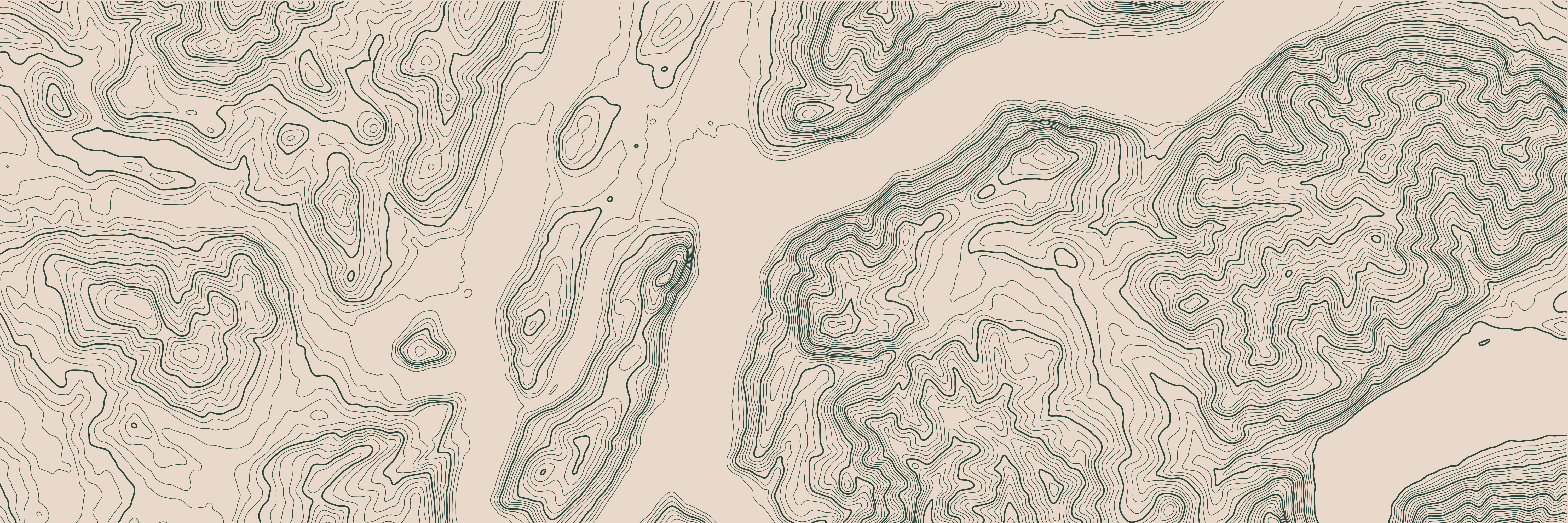 Topo Lugano Vert Forêt — 9 × 3 m