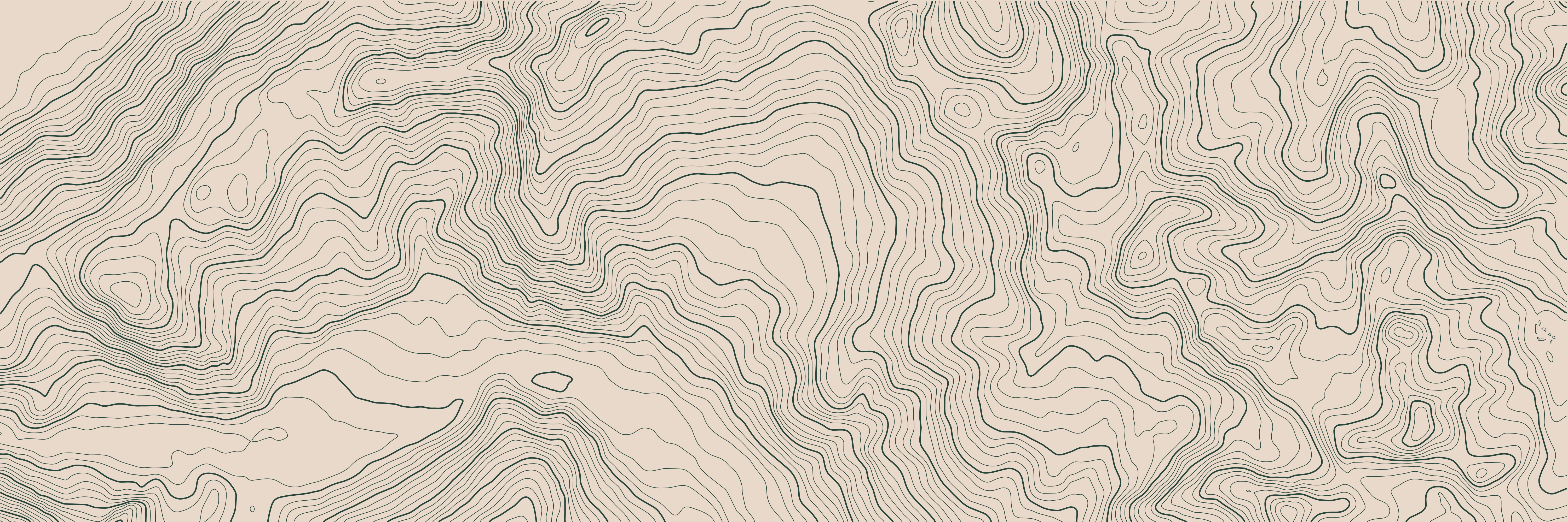 Topo Verbier Vert Forêt — 9 × 3 m