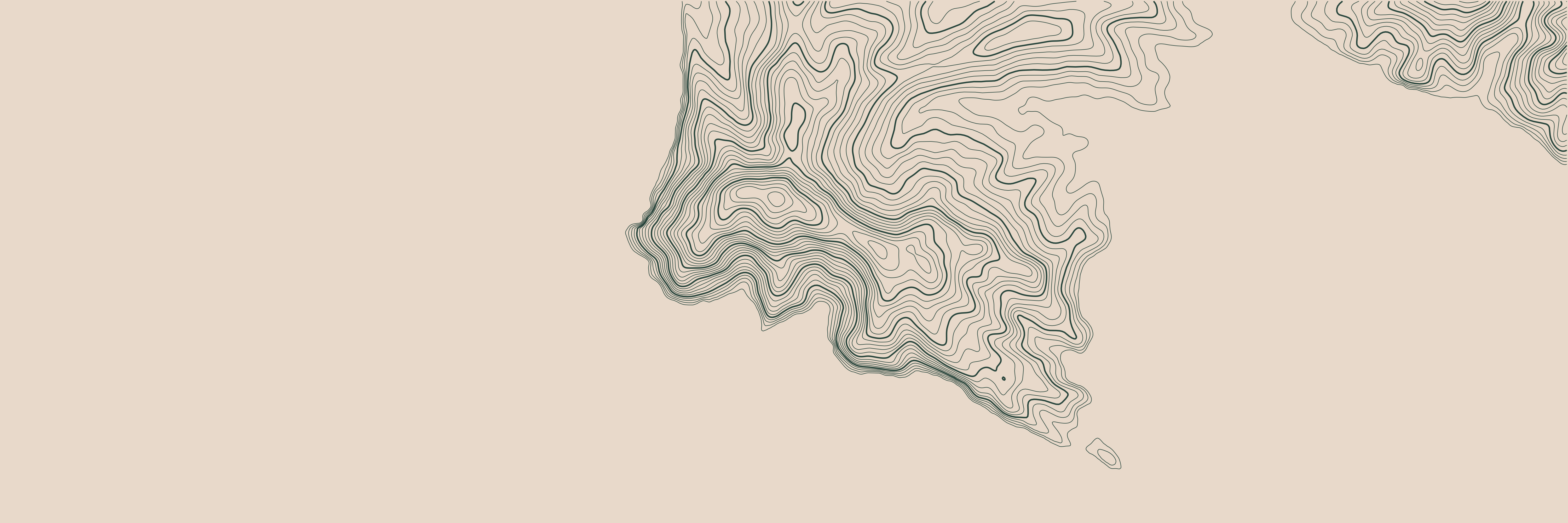 Topo Portofino Vert Forêt — 9 × 3 m